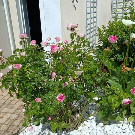 Le Secret Des Marees *