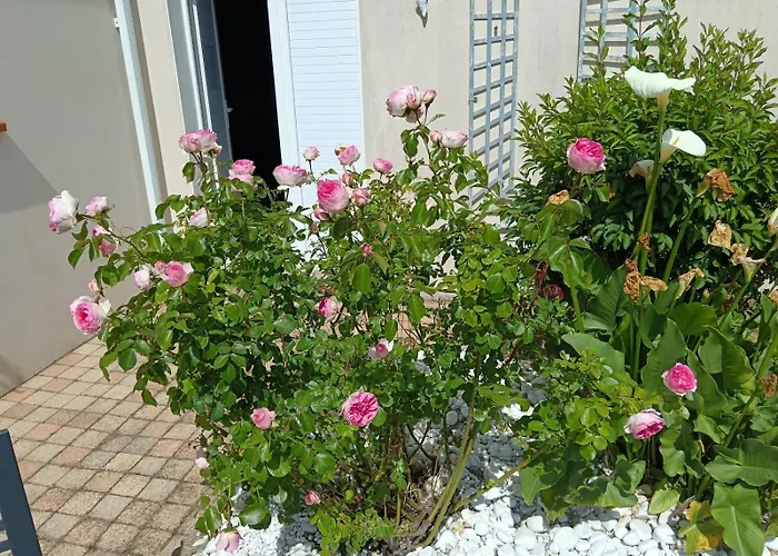 Le Secret Des Marees *